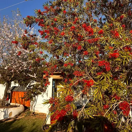 Jardines De Bed & Breakfast *