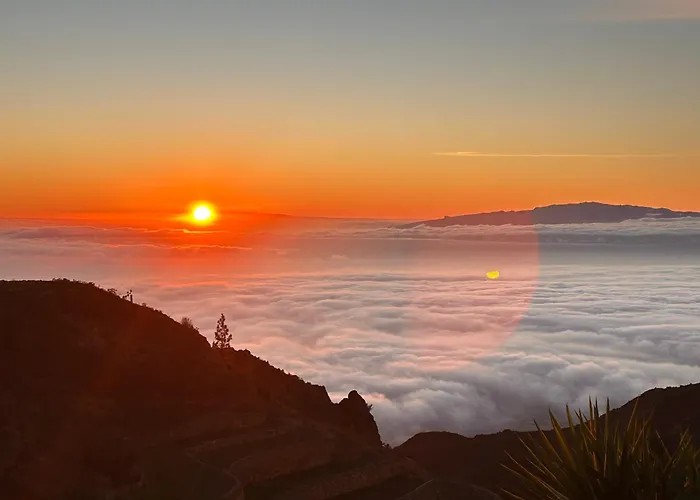 住宿加早餐酒店 Jardines De 3*