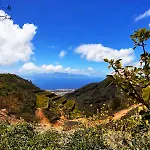 Bed & Breakfast Jardines De Ifonche