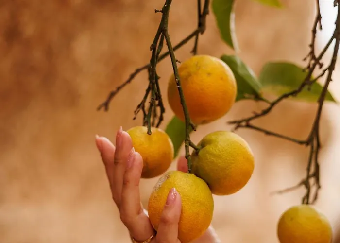 Jardines De ベッド・アンド・ブレックファスト 3*